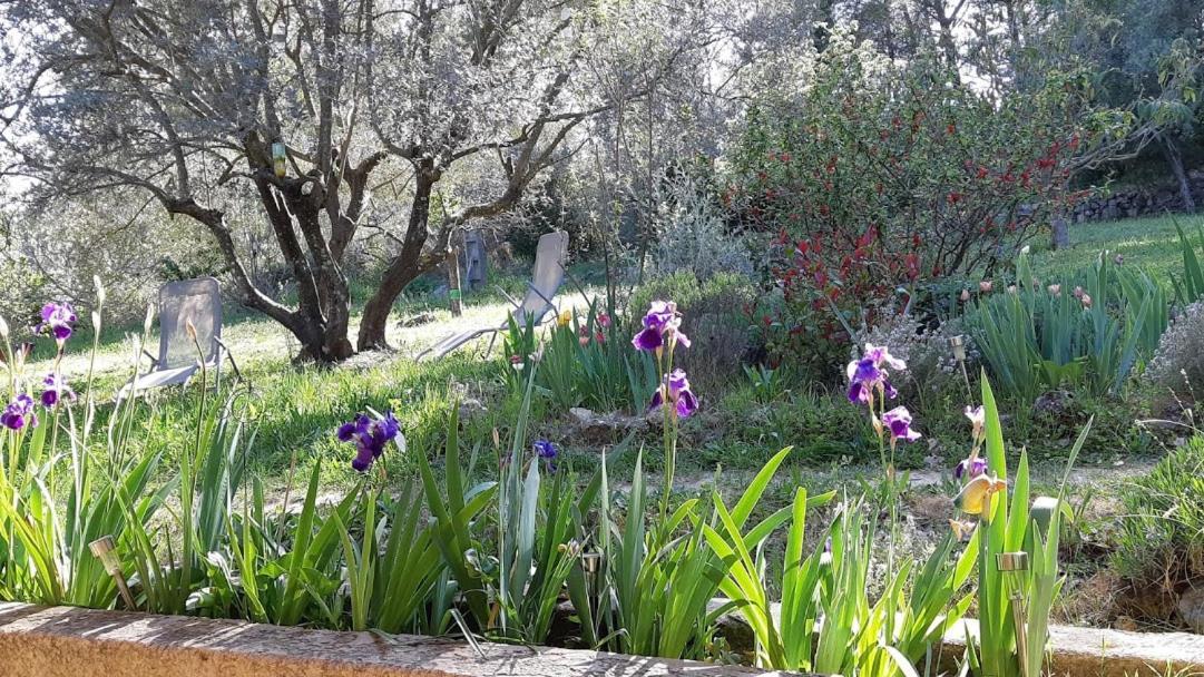 Loucabanon Var Draguignan Luaran gambar