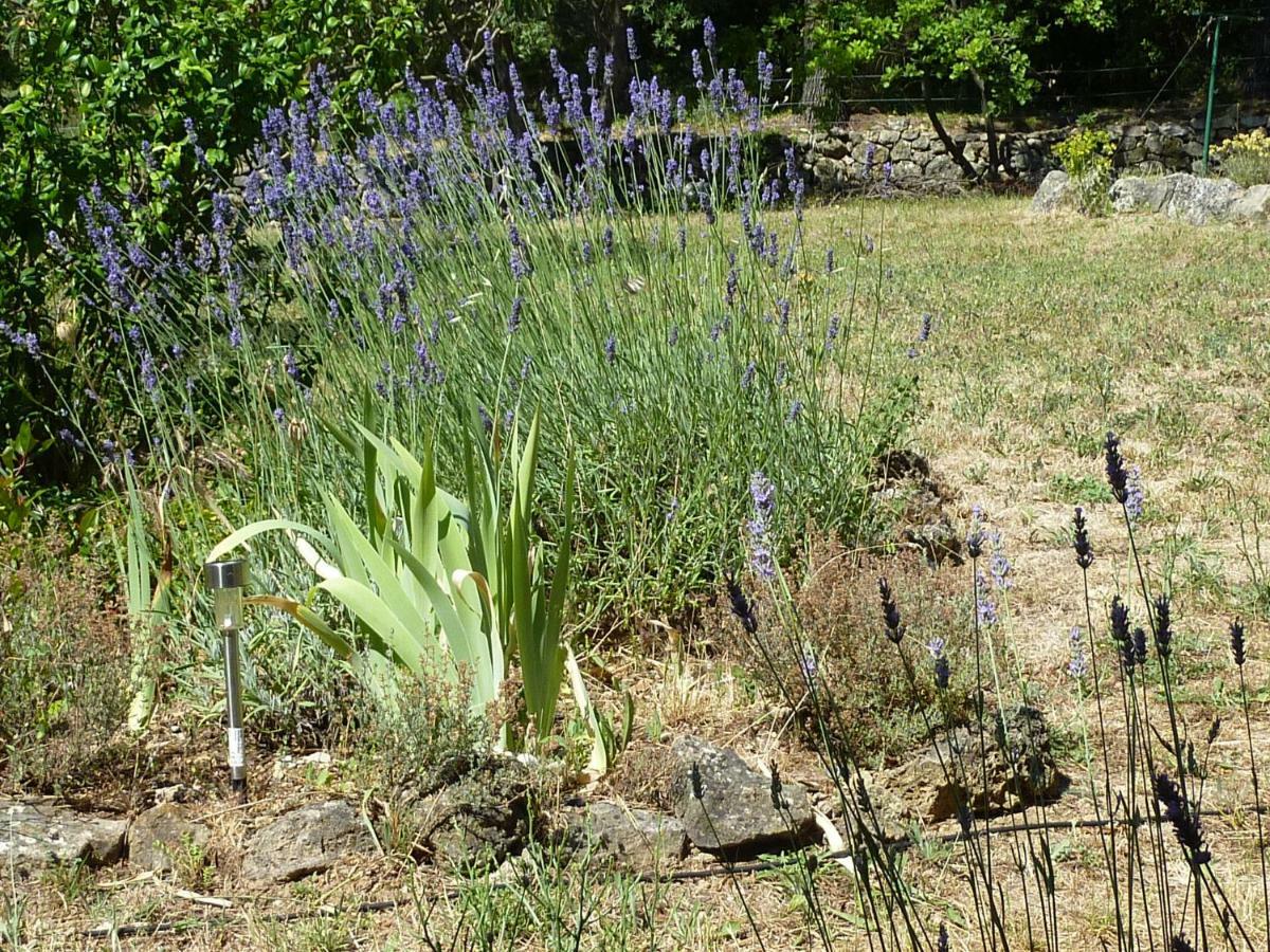 Loucabanon Var Draguignan Luaran gambar